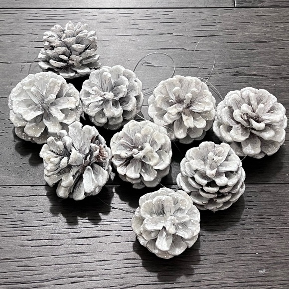 Sparkly White Pine Cone Ornaments - Picture 1 of 4